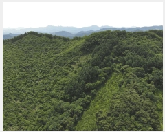  2025Ÿ5331  ܾ籺   101      (Ӿ)