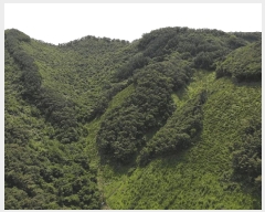  2025Ÿ5331  ܾ籺   101      (Ӿ)