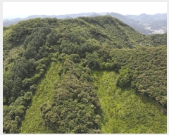  2025Ÿ5331  ܾ籺   101      (Ӿ)