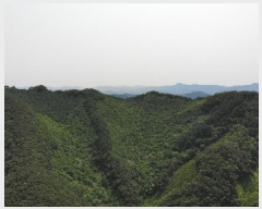  2025Ÿ5331  ܾ籺   101      (Ӿ)