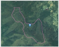  2025Ÿ5331  ܾ籺   101      (Ӿ)