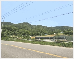  2025Ÿ5331  ܾ籺   101      (Ӿ)