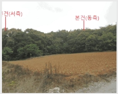  2025Ÿ��5337  �Ӿ߰��