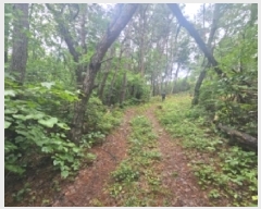  2025Ÿ��5337  �Ӿ߰��