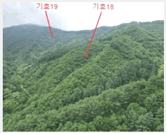  2025Ÿ��5339 ��� ��õ�� ����� ������ ��52-1      ����(�Ӿ�)���