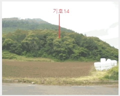  2025Ÿ��5339 ��� ��õ�� ����� ������ ��52-1      ����(�Ӿ�)���