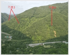  2025Ÿ��5339 ��� ��õ�� ����� ������ ��52-1      ����(�Ӿ�)���