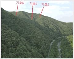  2025Ÿ��5339 ��� ��õ�� ����� ������ ��52-1      ����(�Ӿ�)���