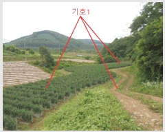  2025Ÿ��5341  �����