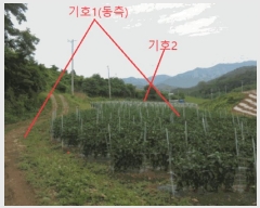  2025Ÿ��5341  �����