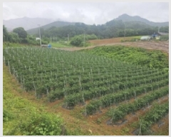  2025Ÿ��5341  �����