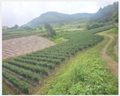  2025Ÿ��5341  �����