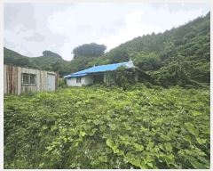  2025Ÿ��5343 ��� ��õ�� �ݼ��� Ȱ�긮 180      ����(����)���