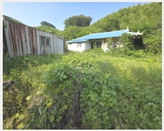  2025Ÿ��5343 ��� ��õ�� �ݼ��� Ȱ�긮 180      ����(����)���