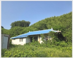  2025Ÿ��5343 ��� ��õ�� �ݼ��� Ȱ�긮 180      ����(����)���