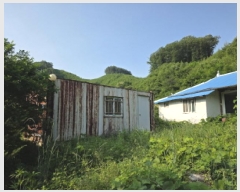  2025Ÿ��5343 ��� ��õ�� �ݼ��� Ȱ�긮 180      ����(����)���