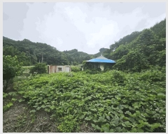  2025Ÿ��5343 ��� ��õ�� �ݼ��� Ȱ�긮 180      ����(����)���