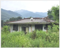  2025Ÿ��5369 ��� ��õ�� ������ ������ 437      ����(��)���