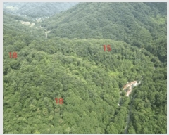  2025Ÿ��5371  �Ӿ߰��