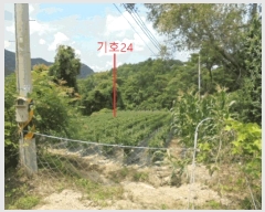  2025Ÿ��5371 ��� ��õ�� ���۵� 65       ����(��1)���