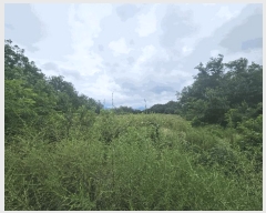  2025Ÿ��5373 ��� ��õ�� �ſ��� 1133-2       ����(�Ӿ�)���