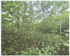  2025Ÿ��5373 ��� ��õ�� �ſ��� 1133-2       ����(�Ӿ�)���