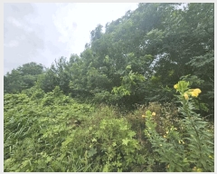  2025Ÿ��5373 ��� ��õ�� �ſ��� 1133-2       ����(�Ӿ�)���