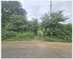  2025Ÿ��5373 ��� ��õ�� �ſ��� 1133-2       ����(�Ӿ�)���