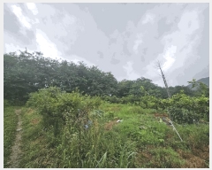  2025Ÿ��5373 ��� ��õ�� �ſ��� 1133-2       ����(�Ӿ�)���