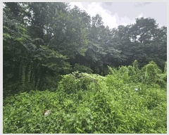  2025Ÿ��5373 ��� ��õ�� �ſ��� 1133-2       ����(�Ӿ�)���