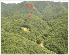  2025Ÿ��5375  �Ӿ߰��