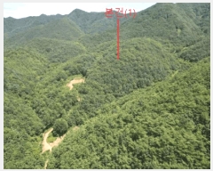  2025Ÿ��5375  �Ӿ߰��