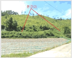  2025Ÿ��5375  �Ӿ߰��