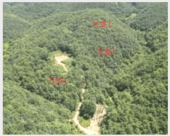  2025Ÿ��5375  �Ӿ߰��