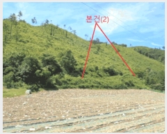  2025Ÿ��5375  �Ӿ߰��