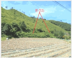  2025Ÿ��5375  �Ӿ߰��