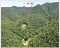  2025Ÿ��5375  �Ӿ߰��