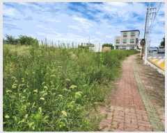  2025Ÿ��5377 ��� ��õ�� �վϵ� 89-28       ����(��1)���