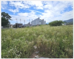  2025Ÿ��5377  �����