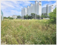  2025Ÿ��5377  �����