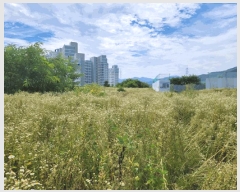  2025Ÿ��5377  �����