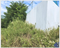  2025Ÿ��5377  �����