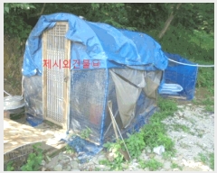  2025Ÿ��5381 ��� ��õ�� ���� ������ 351      ���ð��