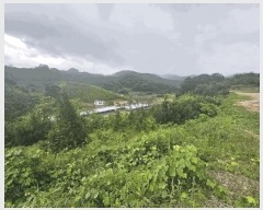  2025Ÿ��5385 ��� ��õ�� ûǳ�� �ܸ� ��31-12      ����(�Ӿ�)���