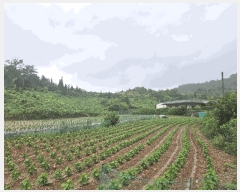  2025Ÿ��5385 ��� ��õ�� ûǳ�� �ܸ� ��31-12      ����(�Ӿ�)���