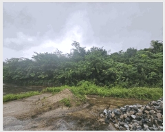  2025Ÿ��5385 ��� ��õ�� ûǳ�� �ܸ� ��31-12      ����(�Ӿ�)���