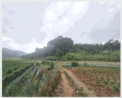  2025Ÿ��5385 ��� ��õ�� ûǳ�� �ܸ� ��31-12      ����(�Ӿ�)���