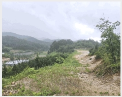  2025Ÿ��5385 ��� ��õ�� ûǳ�� �ܸ� ��31-12      ����(�Ӿ�)���