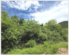  2025Ÿ��5385 ��� ��õ�� ûǳ�� �ܸ� ��31-12      ����(�Ӿ�)���