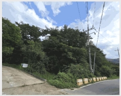  2025Ÿ��5387  �Ӿ߰��